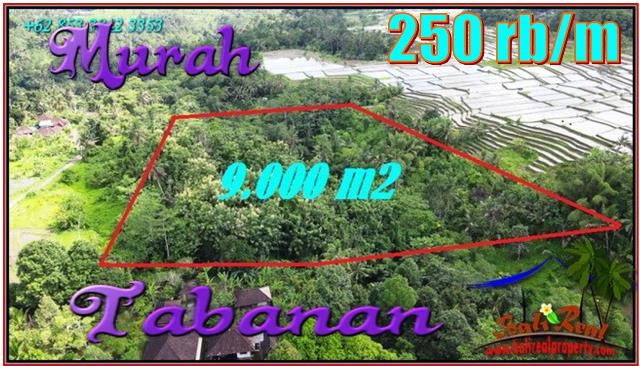 Magnificent PROPERTY 9,000 m2 LAND FOR SALE IN TABANAN TJTB558