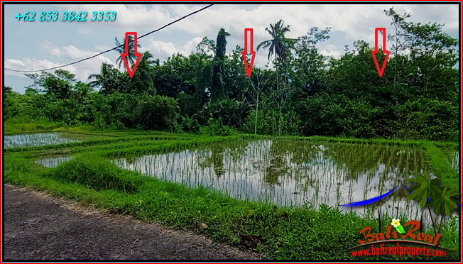 Magnificent PROPERTY 9,000 m2 LAND FOR SALE IN TABANAN TJTB558