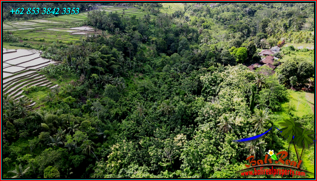Magnificent PROPERTY 9,000 m2 LAND FOR SALE IN TABANAN TJTB558
