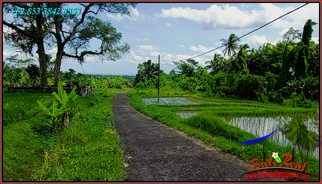 Magnificent PROPERTY 9,000 m2 LAND FOR SALE IN TABANAN TJTB558
