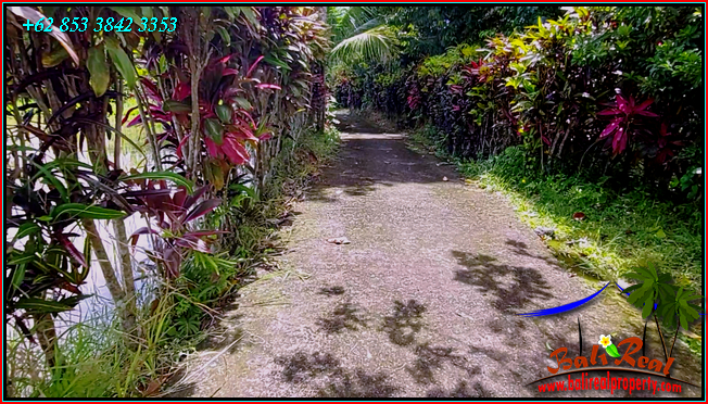 Magnificent PROPERTY 9,000 m2 LAND FOR SALE IN TABANAN TJTB558