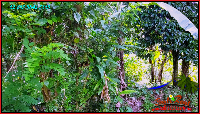 Magnificent PROPERTY 9,000 m2 LAND FOR SALE IN TABANAN TJTB558