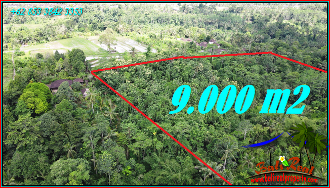 Magnificent PROPERTY 9,000 m2 LAND FOR SALE IN TABANAN TJTB558