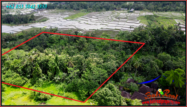 Magnificent PROPERTY 9,000 m2 LAND FOR SALE IN TABANAN TJTB558