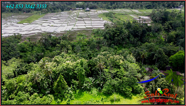 Magnificent PROPERTY 9,000 m2 LAND FOR SALE IN TABANAN TJTB558