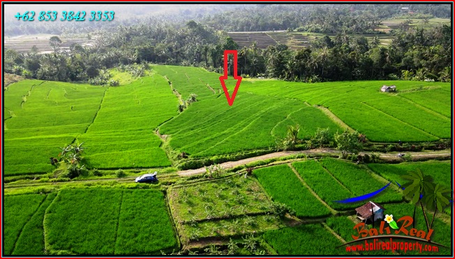 Exotic LAND IN Penebel Tabanan FOR SALE TJTB564