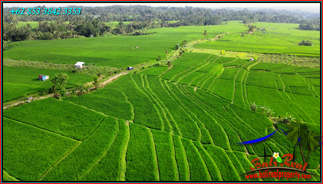 Exotic LAND IN Penebel Tabanan FOR SALE TJTB564