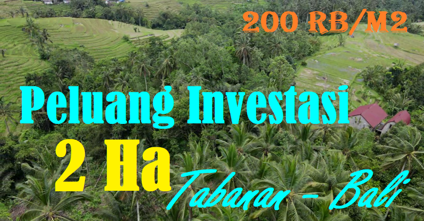 Affordable 20,000 m2 LAND FOR SALE IN Penebel Tabanan BALI TJTB566