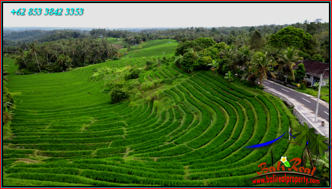 Exotic LAND FOR SALE IN Selemadeg Timur Tabanan TJTB569