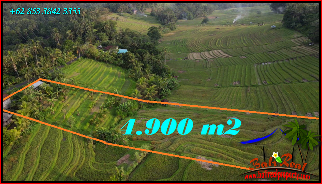 Magnificent LAND IN Selemadeg Timur Tabanan FOR SALE TJTB571