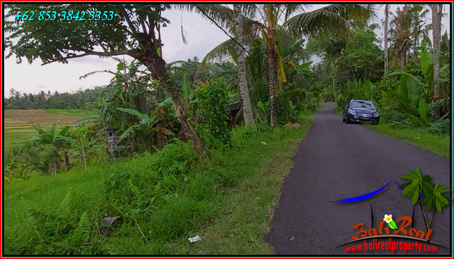 Magnificent LAND IN Selemadeg Timur Tabanan FOR SALE TJTB571