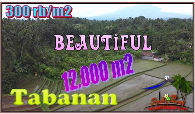 12,000 m2 LAND SALE IN Pupuan Tabanan TJTB554