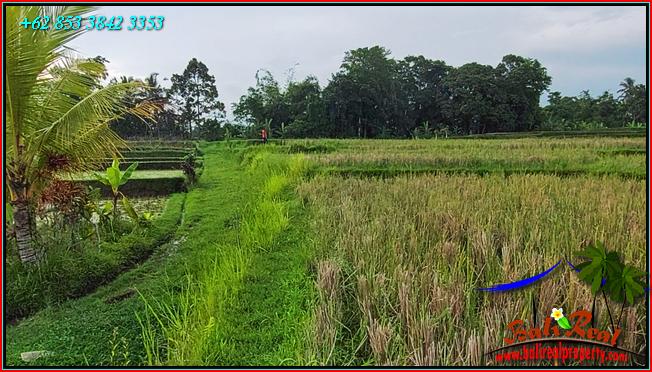 Magnificent PROPERTY Penebel Tabanan LAND FOR SALE TJTB559