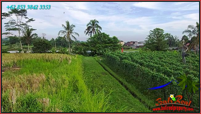 Magnificent PROPERTY Penebel Tabanan LAND FOR SALE TJTB559
