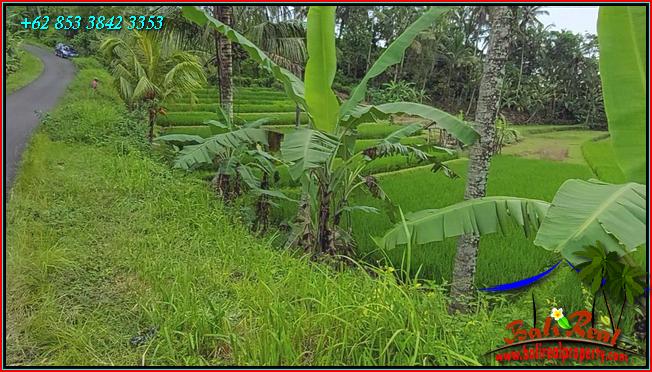 Magnificent PROPERTY 2,400 m2 LAND SALE IN TABANAN TJTB562