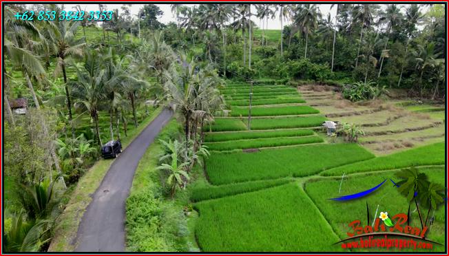 Magnificent PROPERTY 2,400 m2 LAND SALE IN TABANAN TJTB562